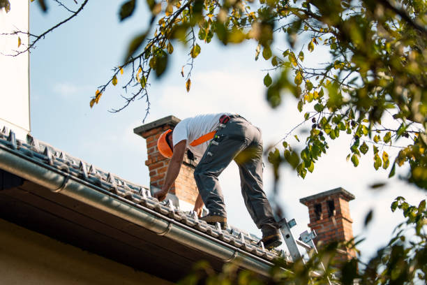 Best Metal Roofing Contractor  in Grabill, IN